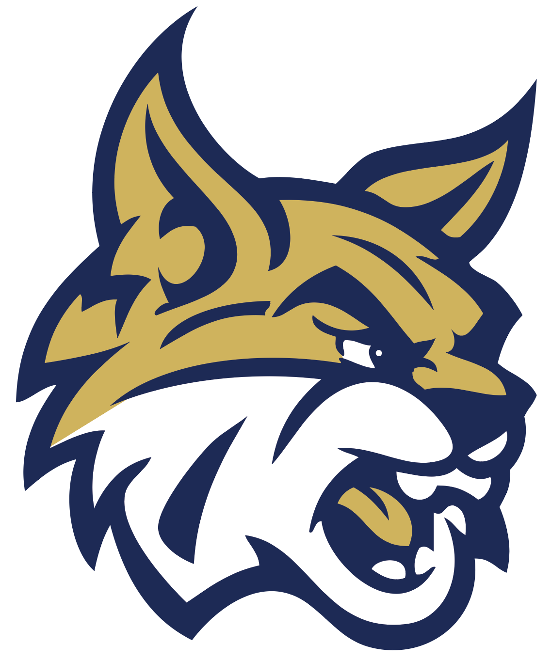 Brendan Wildcats Logo iron on transfers